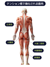 株式会社RICOのプレスリリース画像4