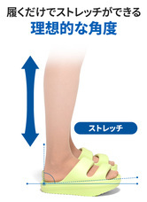 株式会社RICOのプレスリリース画像5