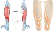 株式会社RICOのプレスリリース画像9