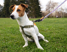 株式会社RICOのプレスリリース画像13