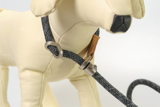 株式会社RICOのプレスリリース画像20