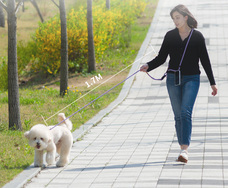 株式会社RICOのプレスリリース画像12