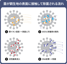 株式会社RICOのプレスリリース画像10