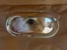 株式会社RICOのプレスリリース画像11