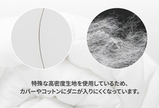 株式会社RICOのプレスリリース画像8