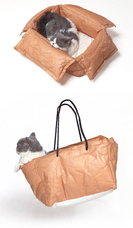 株式会社RICOのプレスリリース画像17