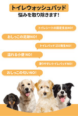 株式会社RICOのプレスリリース画像2