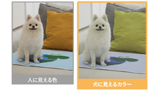 株式会社RICOのプレスリリース画像11