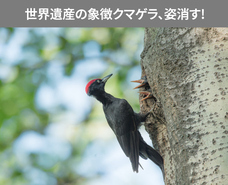 株式会社RICOのプレスリリース画像1