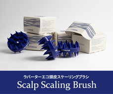 株式会社RICOのプレスリリース画像3