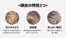 株式会社RICOのプレスリリース画像2