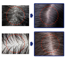 株式会社RICOのプレスリリース画像17