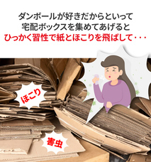 株式会社RICOのプレスリリース画像2