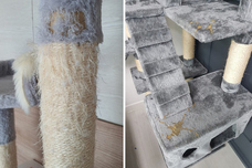 株式会社RICOのプレスリリース画像3