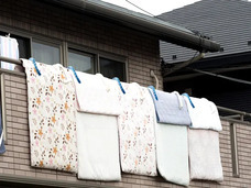 株式会社RICOのプレスリリース画像2