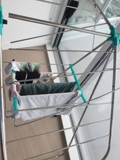 株式会社RICOのプレスリリース画像1