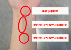 株式会社RICOのプレスリリース画像3