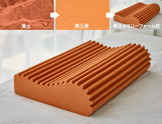 株式会社RICOのプレスリリース画像4