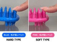 株式会社RICOのプレスリリース画像13