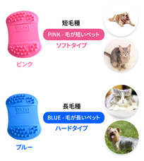 株式会社RICOのプレスリリース画像11