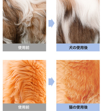 株式会社RICOのプレスリリース画像9