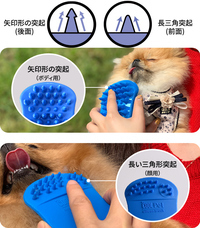 株式会社RICOのプレスリリース画像7