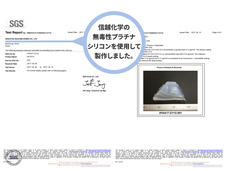 株式会社RICOのプレスリリース画像12