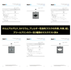 株式会社RICOのプレスリリース画像12