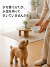 株式会社RICOのプレスリリース画像1