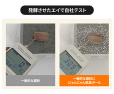 株式会社RICOのプレスリリース画像15