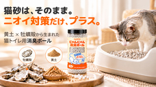 株式会社RICOのプレスリリース画像1