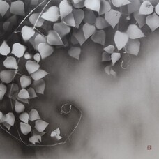 KASASHIMA Co., Ltd.のプレスリリース画像3