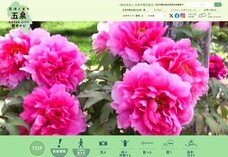 一般社団法人　五泉市観光協会のプレスリリース画像2