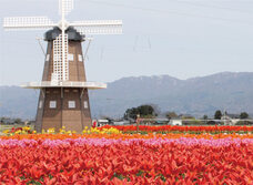 一般社団法人　五泉市観光協会のプレスリリース画像3