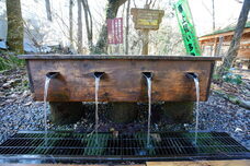 一般社団法人　五泉市観光協会のプレスリリース画像2