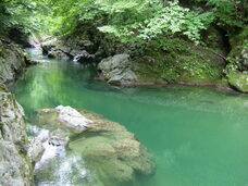 一般社団法人　五泉市観光協会のプレスリリース画像3