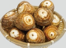 一般社団法人　五泉市観光協会のプレスリリース画像4