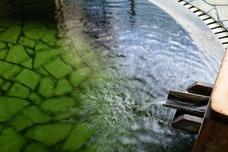 一般社団法人　五泉市観光協会のプレスリリース画像4