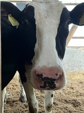 株式会社大共ホームのプレスリリース画像1