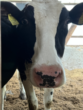 株式会社大共ホームのプレスリリース画像3