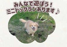 株式会社大共ホームのプレスリリース画像4