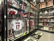 株式会社セレクションインターナショナルのプレスリリース画像2