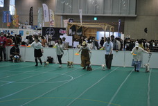 Pet博実行委員会のプレスリリース画像3