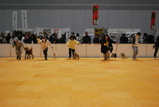 Pet博実行委員会のプレスリリース画像3