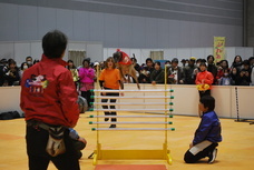 Pet博実行委員会のプレスリリース画像1