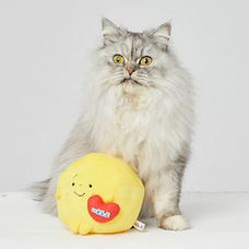 株式会社いえらぶGROUPのプレスリリース画像6