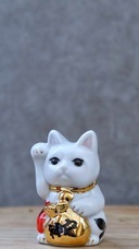 一般社団法人 ジャパンプロモーションのプレスリリース画像5