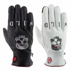 Motorimoda株式会社のプレスリリース画像5