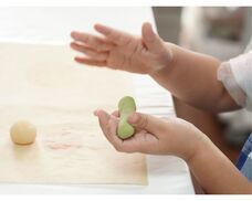 一般社団法人こどもわがし協会のプレスリリース画像2