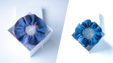 orv mode studio.のプレスリリース画像1